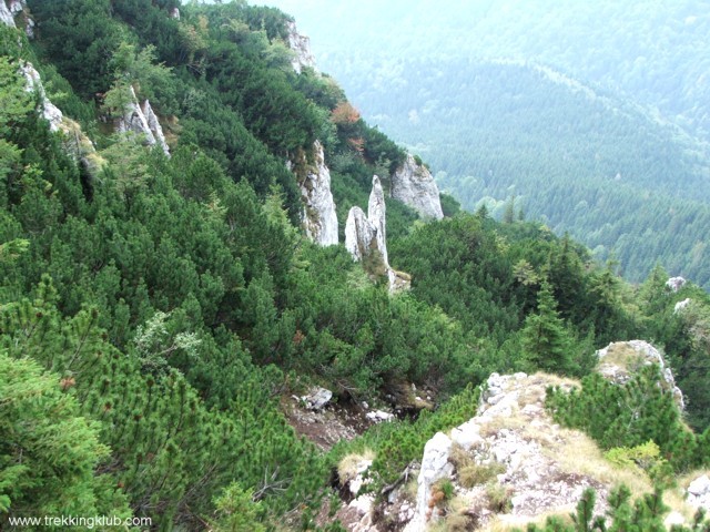 Csalán-völgyi varrótű