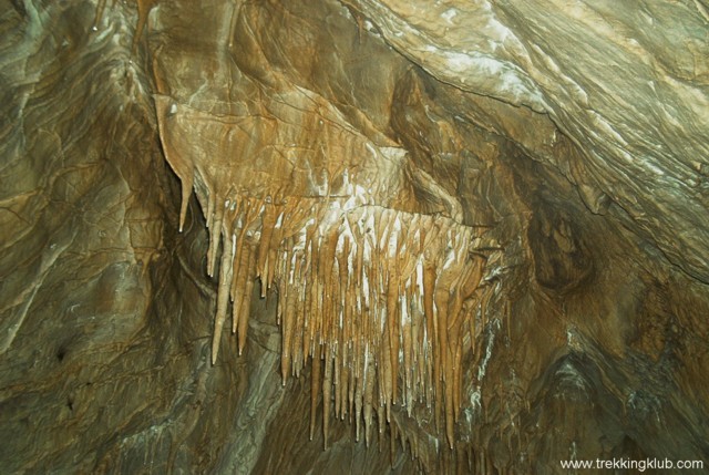 Túlfolyó-ág - Súgó-barlang