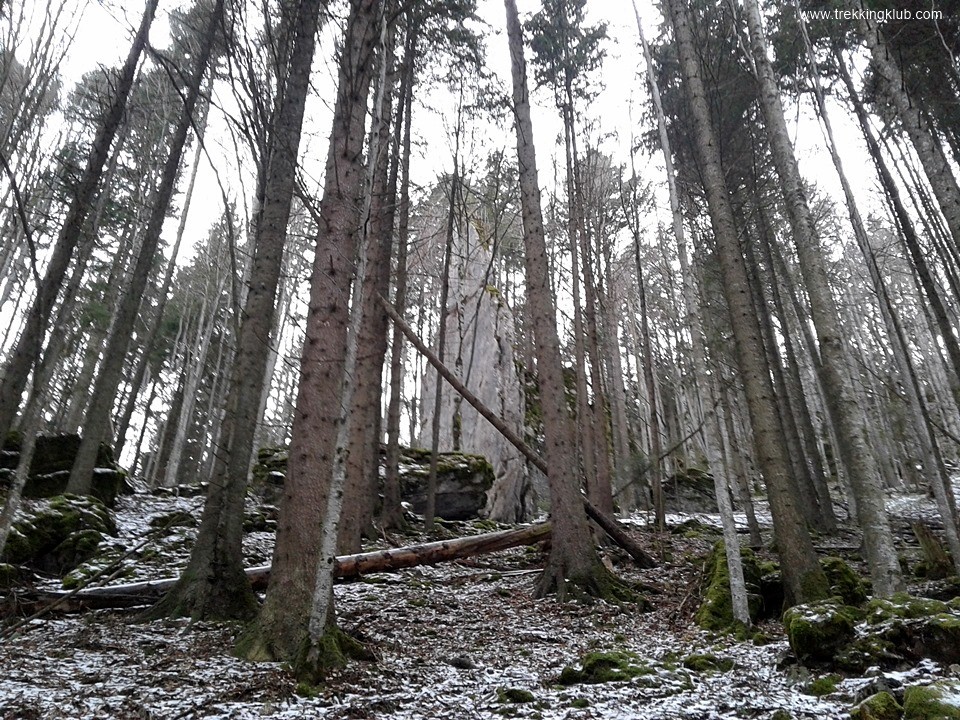 Sziklatorony - Kurmatura-patak - Királykő-hegység