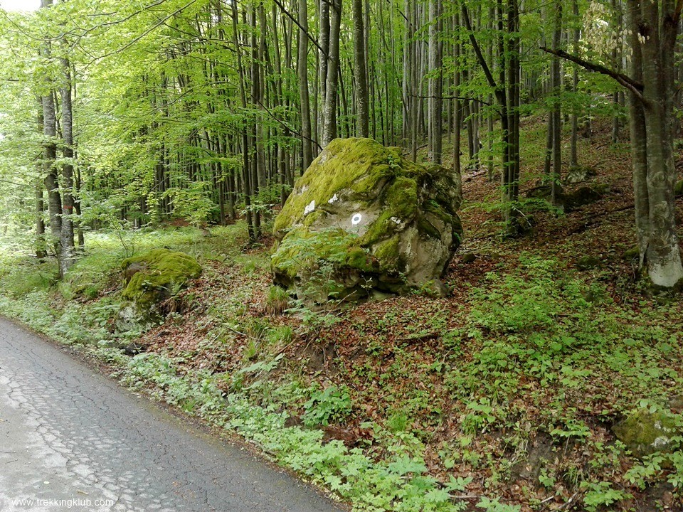 Bodvaji Emberfej-szikla - Fenyves-patak völgye