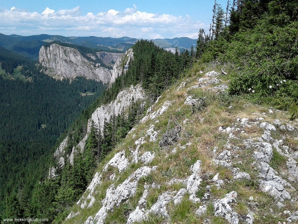 Kilátópont Gyilkos-kő kilátó