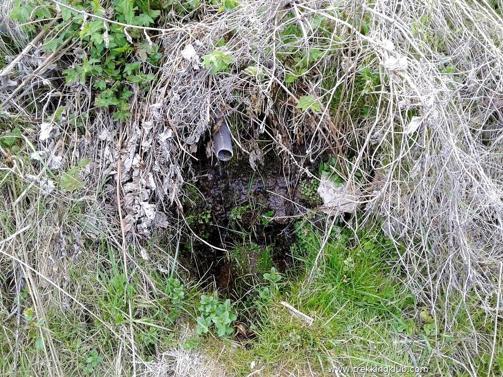 Csorgó a domboldalon Vilma-csorgó - Csíkajnád