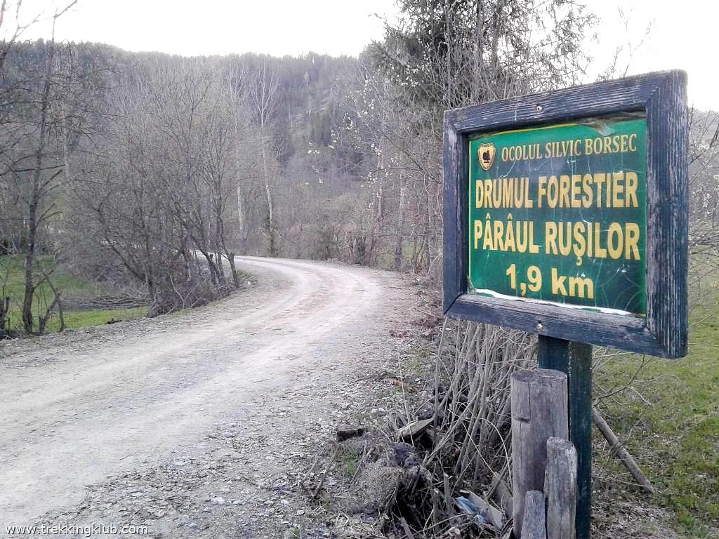 Tőzegláp az Oroszok-patakánál - Bélbor