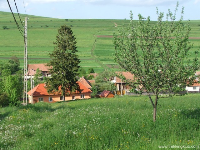 Sarlós Boldogasszony-kápolna - Kotormány