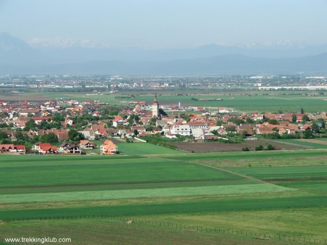 Erdeifenyők között - Barcaszentpéter