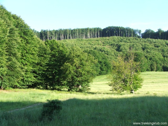 Siklódi kő