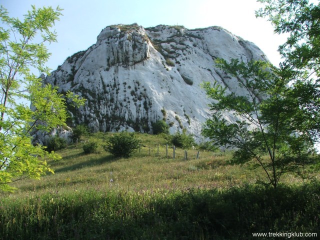 Bulbuci-kő