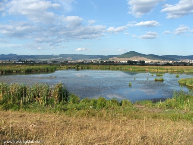 Senki tava - Csíkszereda