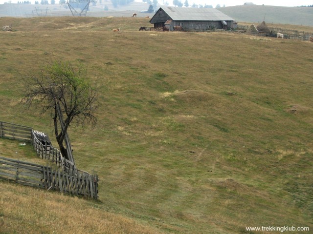 Hőség-domb kőtojása