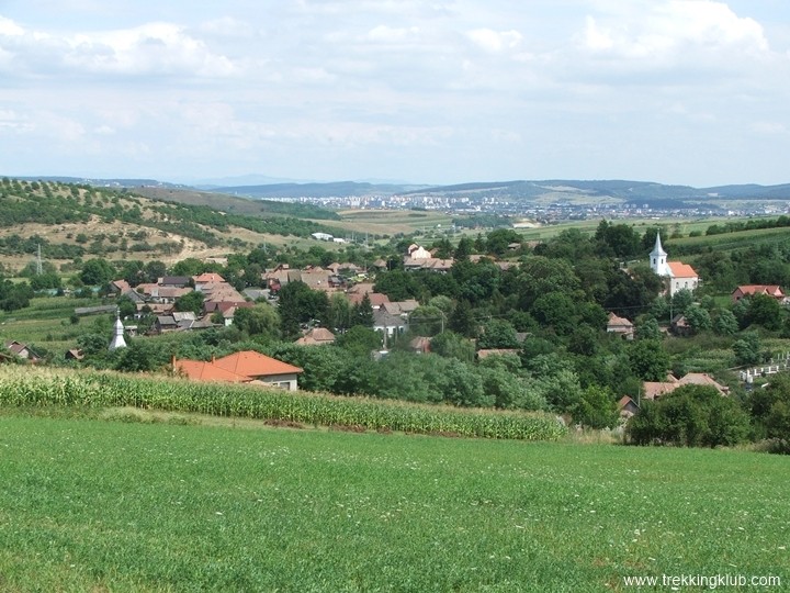 Mezőbergenye