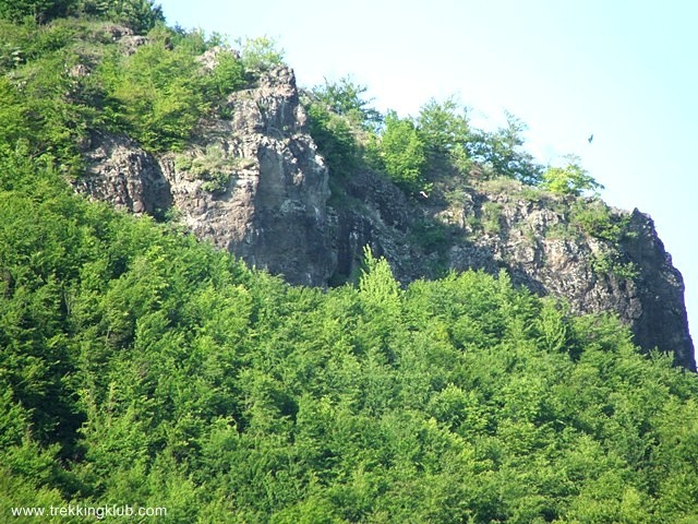 Kormos-kő sziklakilátó - Fenyőkút