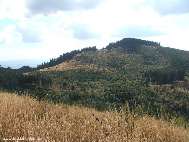 Kilátópont - Kakukk-hegy