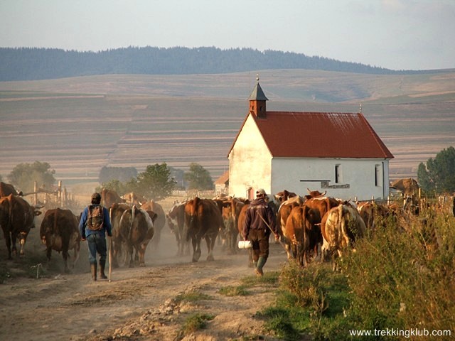 Szent Margit-kápolna - Csíkszentimre