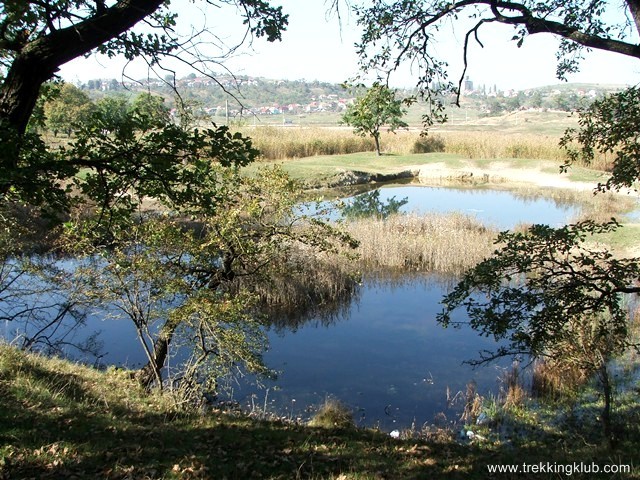 Tócsa-tó - Torda