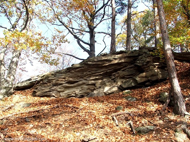 Sólyomkő-tető - Gorzafalva