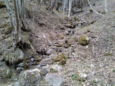 Kőmező-patak zuhatagsora - Vargyas-szoros