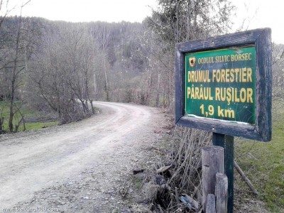 Tőzegláp az Oroszok-patakánál Bélbor