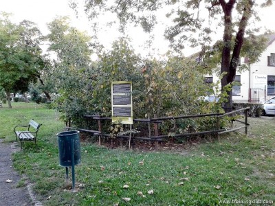 Miyawaki-minierdő - Marosvásárhely