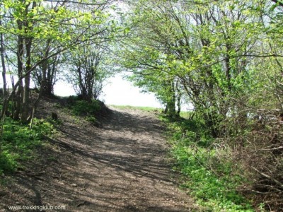 Veczerkő