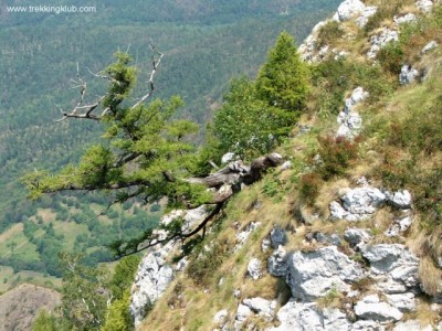 Székelykő-Észak