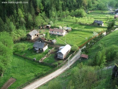 Toronykövek