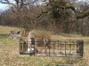 Kemény család várparkja - Marosvécs Várpark 3 Kemény várpark Marosvécs