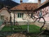 Ecetfa Tusnádfürdő tiszafa