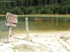Balu kalandpark - Hargitafürdő Fürödni tilos! Hargitafürdő