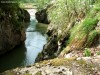 Corcoaia-szoros - Cserna völgye A híd felé Corcoaia szoros