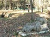 Szobor Szobor