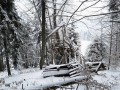 Mohos-kilátó Ami a kilátóból maradt - 1 Mohos kilátó