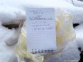 Az utolsó három megtaláló csapat Mohos kilátó