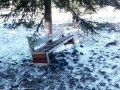 Pad a Várszikla közelében Csicsói-várszikla