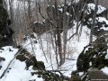Medvevár sziklavilág Fenyőkút