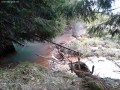 Hódok által épített gát Hódok által épített gát