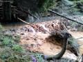 A bányanyílás Hargitafürdő meddőhányó zagytározó bányanyílás bányajárat