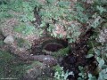 Forrás Piricske felé - Hargita-hegység A forrás Piricske forrás