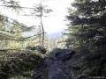 Sziklaátjáró 
Piricske sziklakilátó Borvíz-patak Medvegödör teteje kilátópont