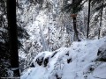 Felső függőhíd - Kis-Békás Be kell ereszkedni a hídhoz Kis-Békás felső függőhíd