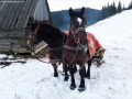 Bástyakő - Naskalat-hegycsoport Csángó lovasszán Bástyakő Dánfalvi Naskalat