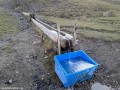 Nyír kútja pihenő - Csíkszentimre Itató Nyír kútja pihenő Csíkszentimre