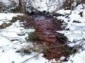 Kápolna melletti Sóskert-sósfürdő - Székelyudvarhely Egy másik forrás árterülete Székelyudvarhely Sóskert Solymossy sósfürdő melegfürdő hidegfürdő