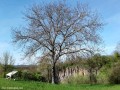 A napelem-park felől nézve