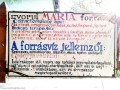 A forrásvíz jellemzői Homoródfürdő Mária forrás borvíz borvízforrás