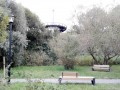 Cserealja Zöld Park - Marosvásárhely A kilátó alatti erdőcske Marosvásárhely Cserealja Zöld park
