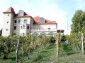 Petry borpince - Kelementelke Szőlős Kelementelke Petry borpince Simén kúria