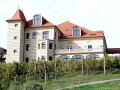 Petry borpince - Kelementelke A tó felől nézve Kelementelke Petry borpince Simén kúria