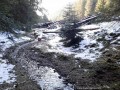 Rompáca borvíz - Csíkajnád Medvék területe Csíkajnád Rompáca borvíz forrás
