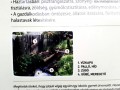 Hol van ez a vízkapu? Csíkajnád Rompáca patak tanösvény