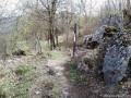 Hiányzó kapu Hiányzó kapu